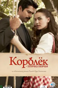 Королёк – птичка певчая 